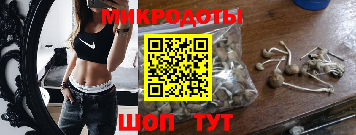 Галлюциногенные грибы Psilocybine cubensis Волгоград