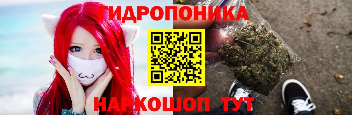 Канабис сатива  Бошки Шишки конопля  Марихуана SATIVA & INDICA  Волгоград  Вход с VPN 